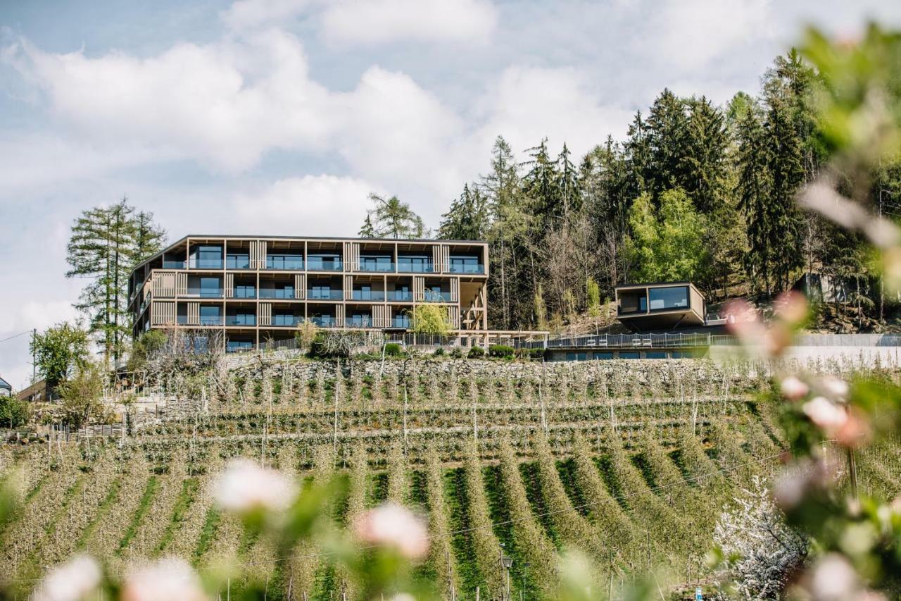 Panoramic Suites Winzerhoehe Schenna Zewnętrze zdjęcie
